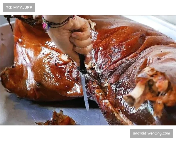 WCBA季前赛元谋特色 烤乳猪凉鸡等美食吸引游客